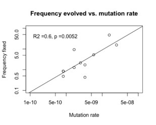 maclean_e_vs_u