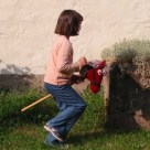 Hobby-Horse